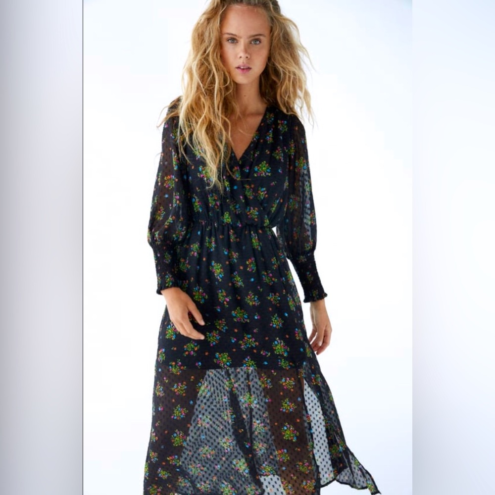 Zara Printed Dotted Mesh Dress